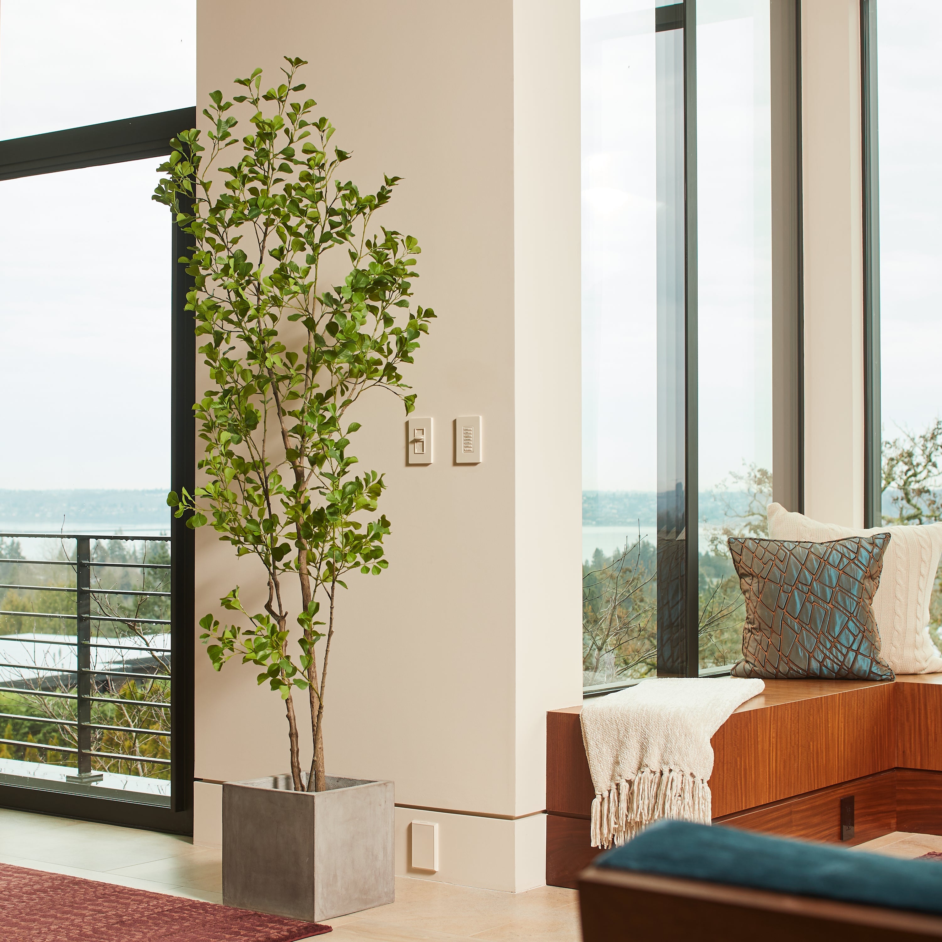 Artificial Heart Ficus Tree