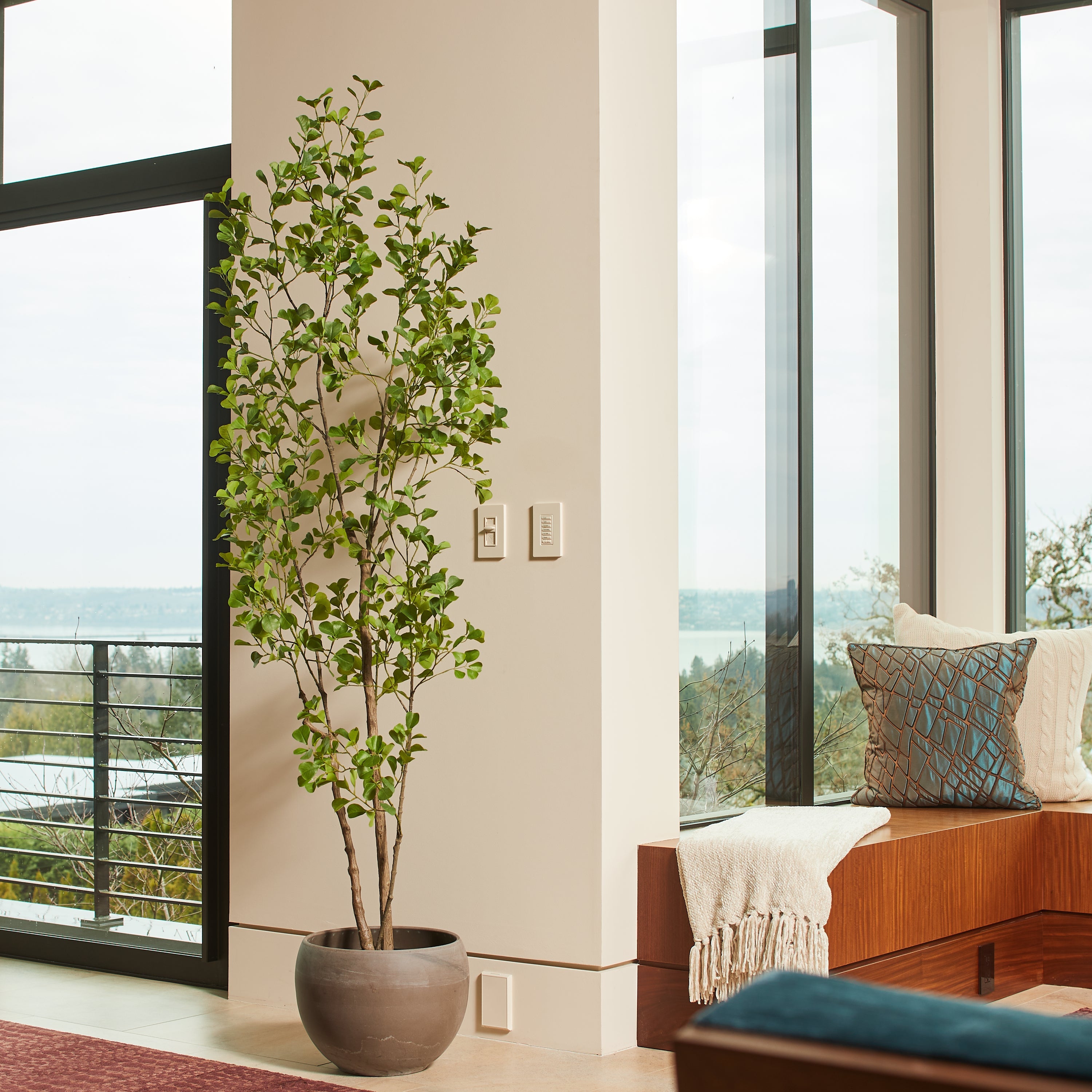 Artificial Heart Ficus Tree