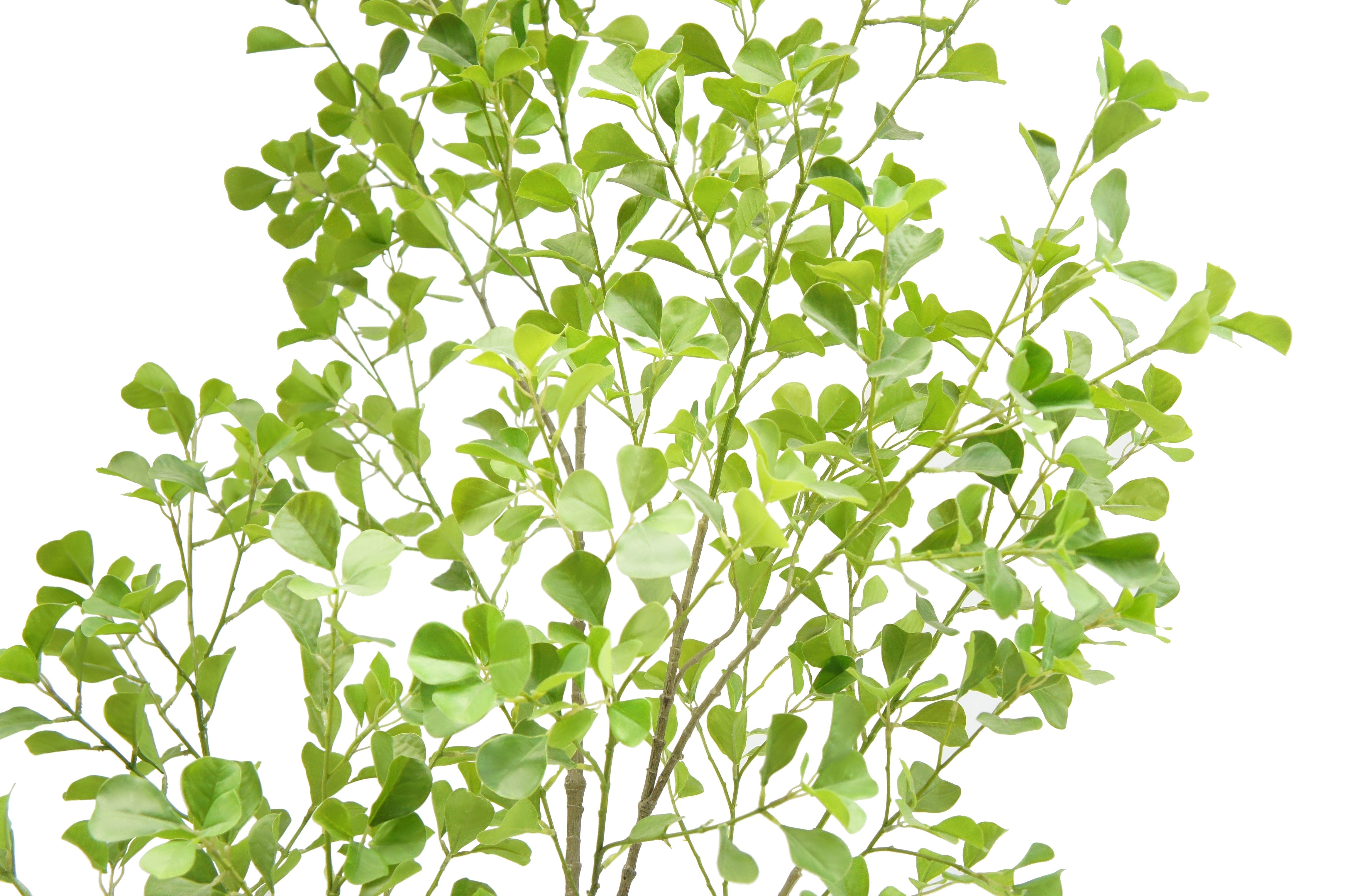 Artificial Heart Ficus Tree
