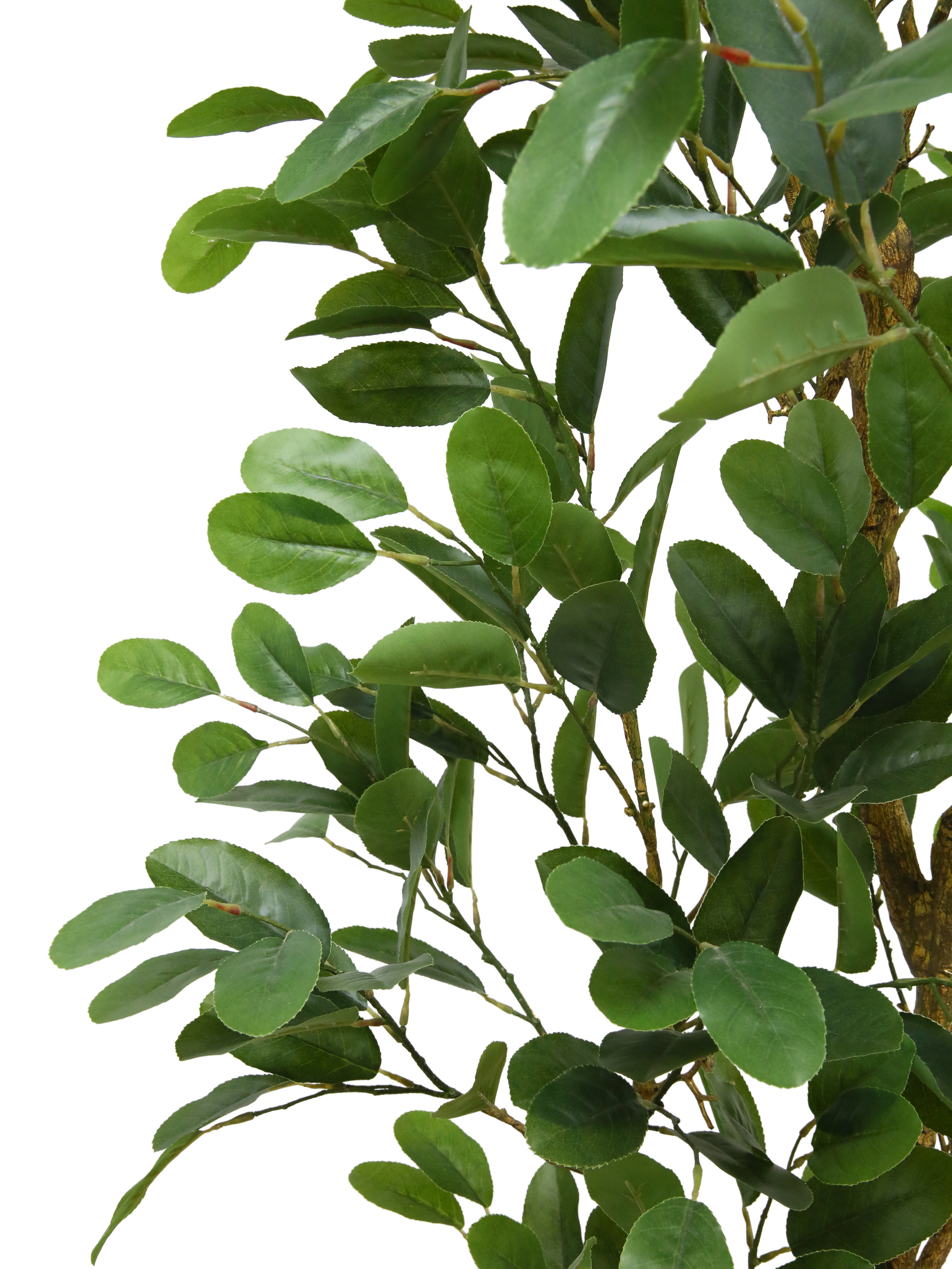 Faux Citrus Lemon Tree
