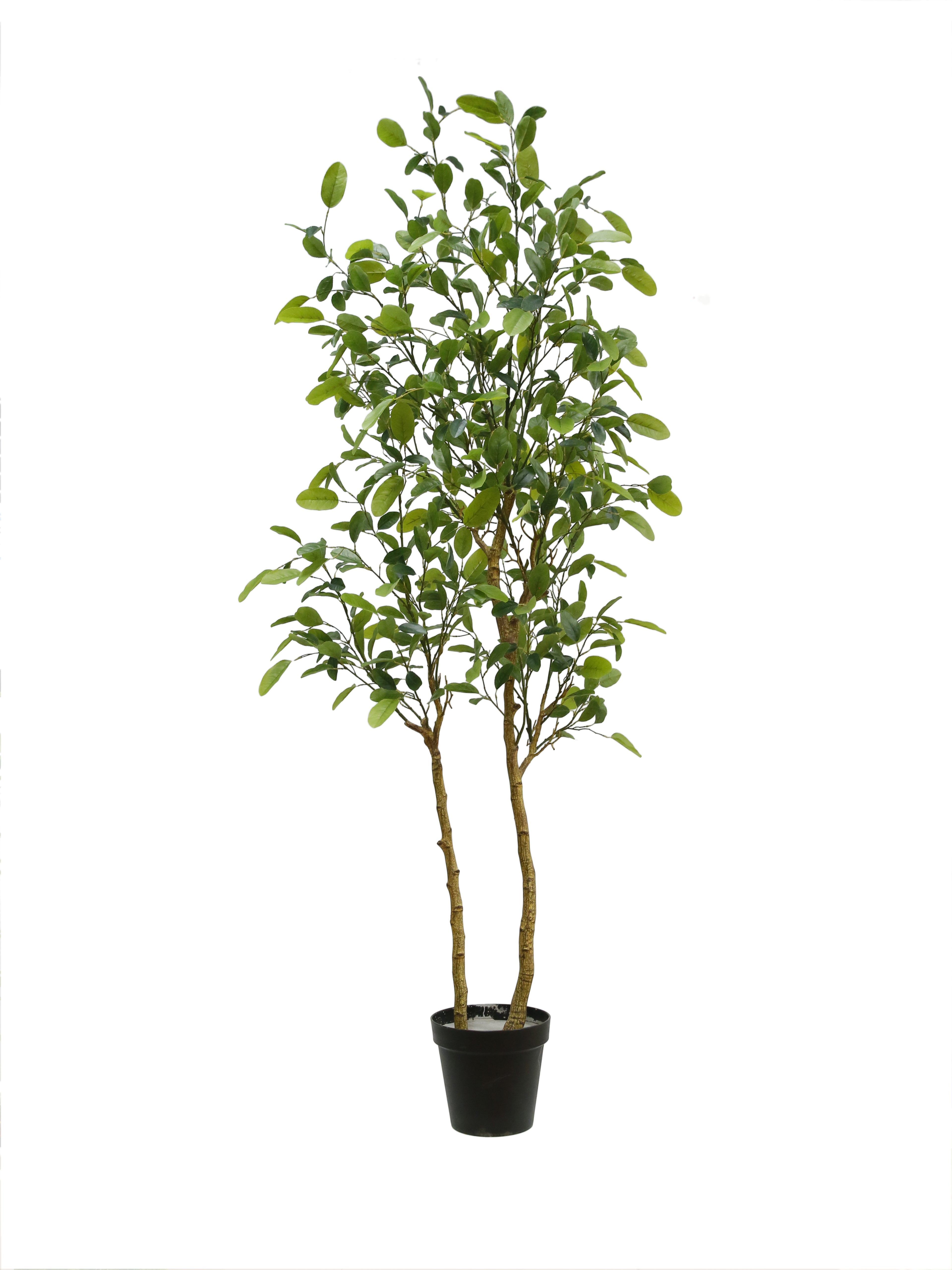 Faux Citrus Lemon Tree