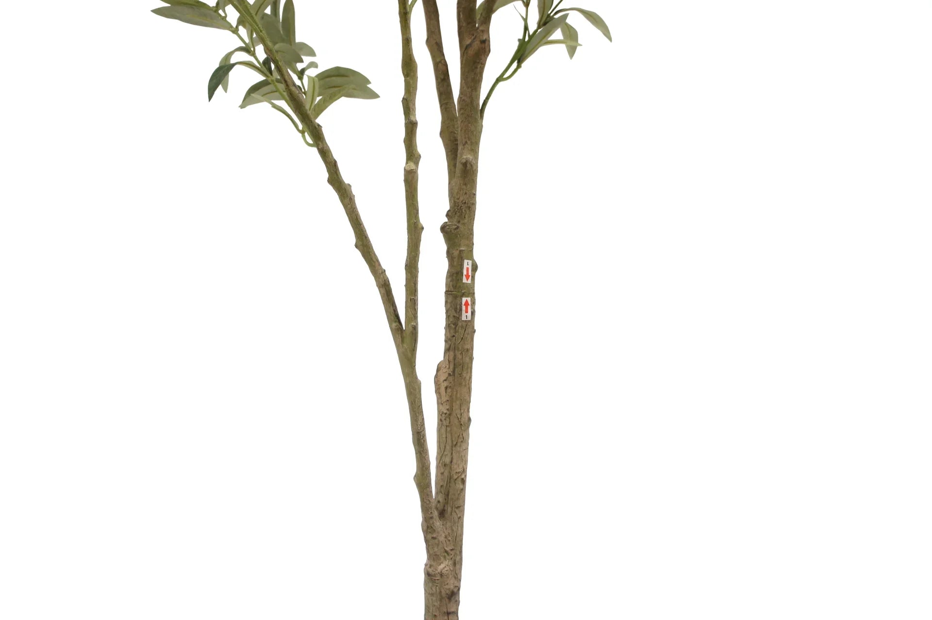 Faux Wispy Olive Tree