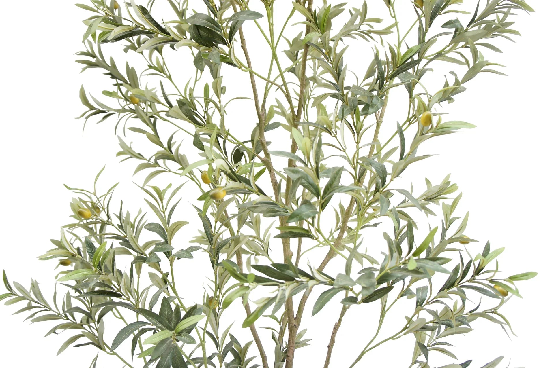 Faux Wispy Olive Tree