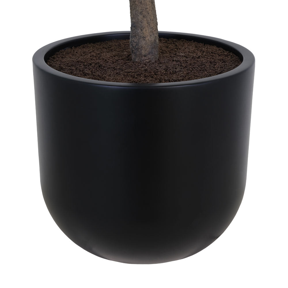 Faux Potted Olive Tree in Black Pot