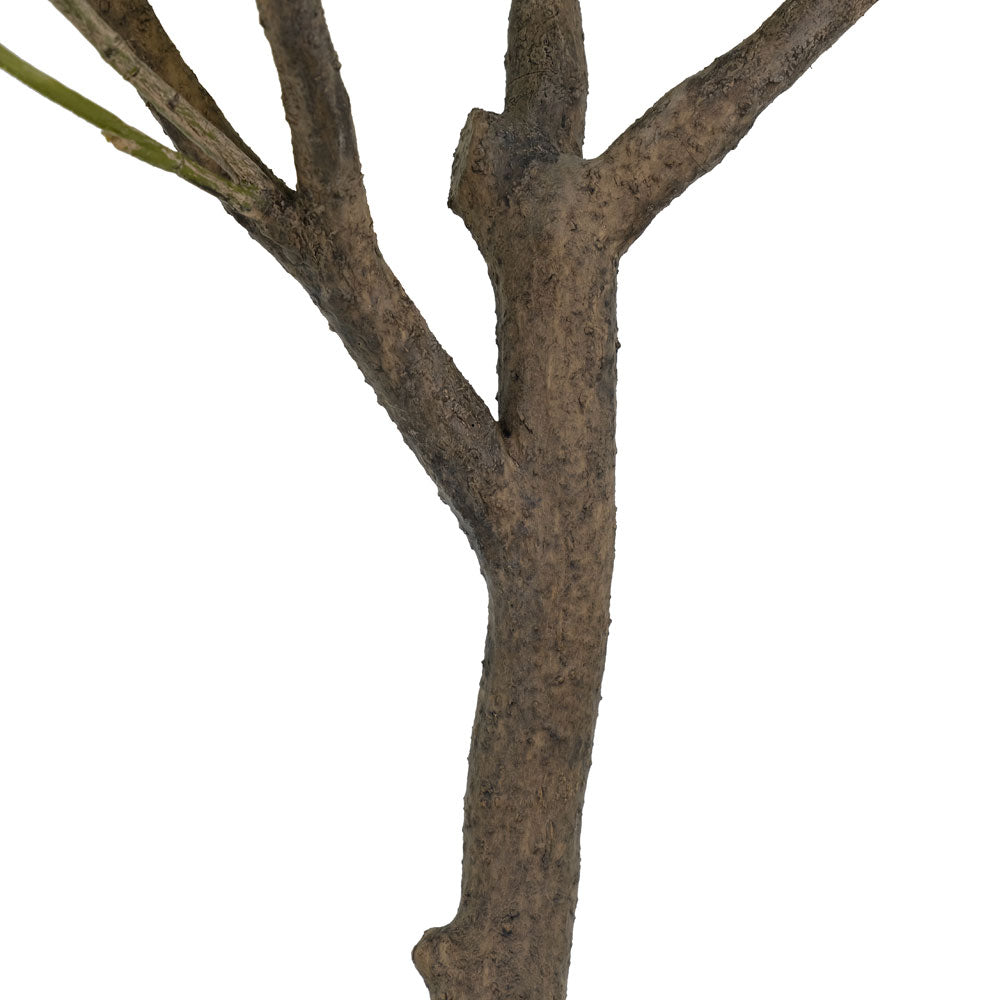 Faux Potted Olive Tree in Black Pot