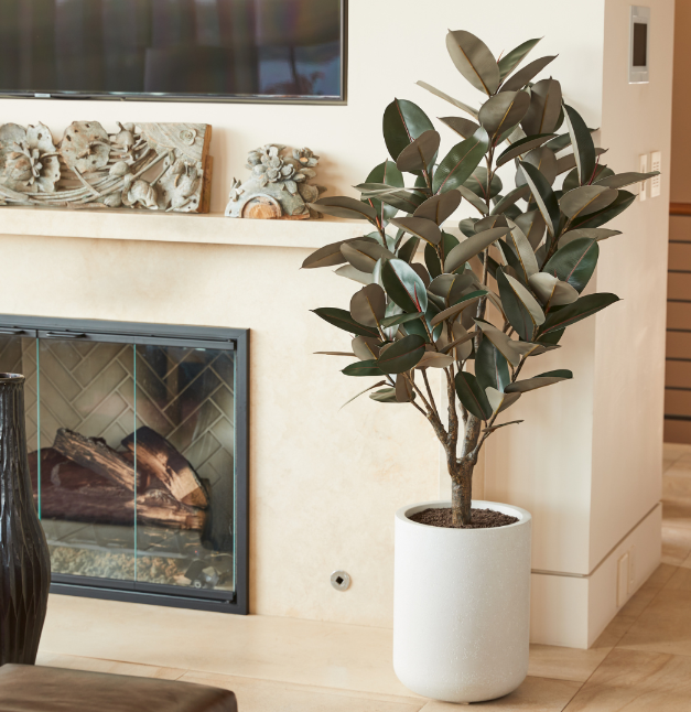 Faux Rubber Ficus Tree in Modern Gray Planter