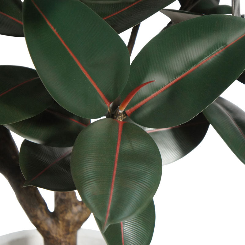 Faux Rubber Ficus Tree in Modern Gray Planter