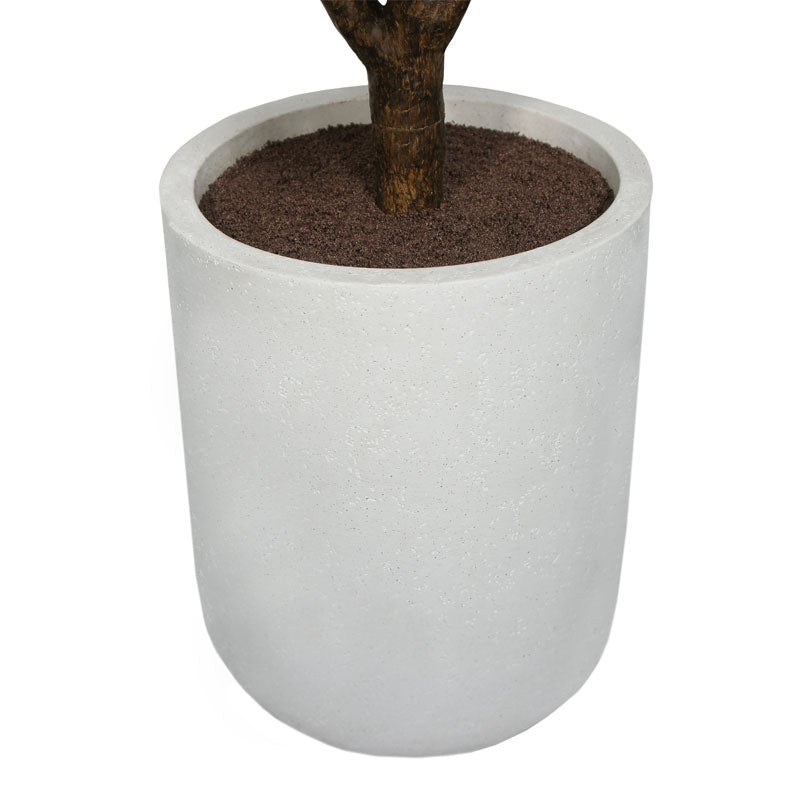 Faux Rubber Ficus Tree in Modern Gray Planter
