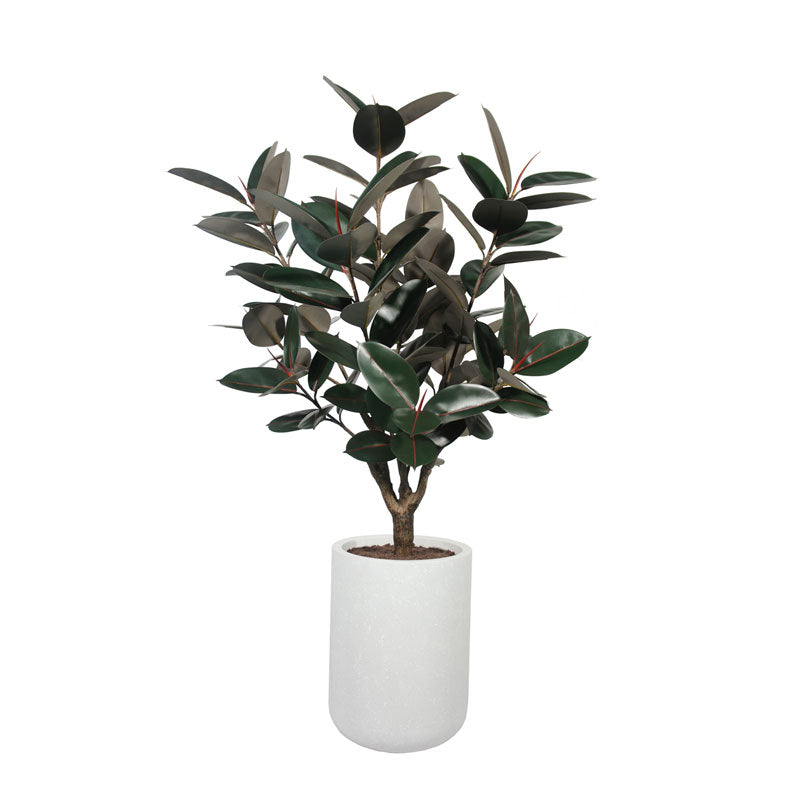 Faux Rubber Ficus Tree in Modern Gray Planter