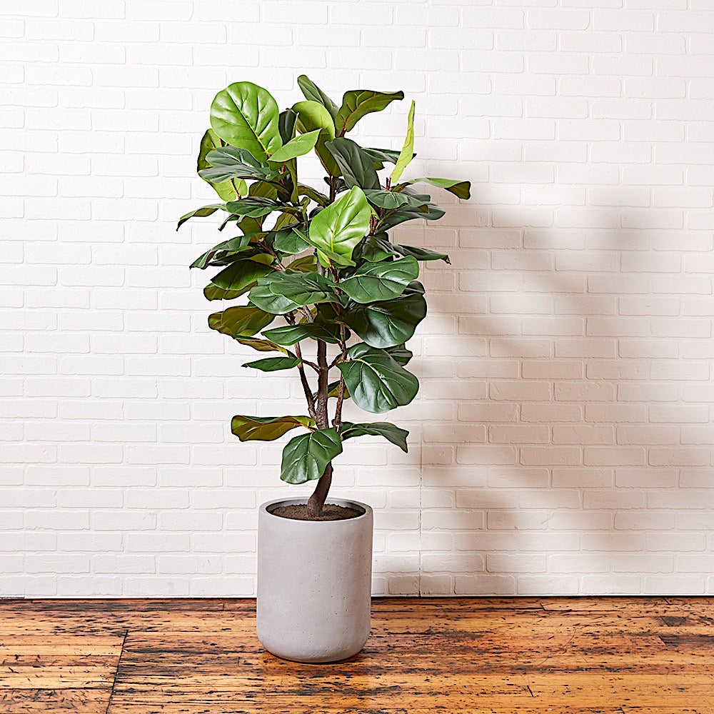 Faux Fiddle Leaf Fig Tree with Artisan Planter