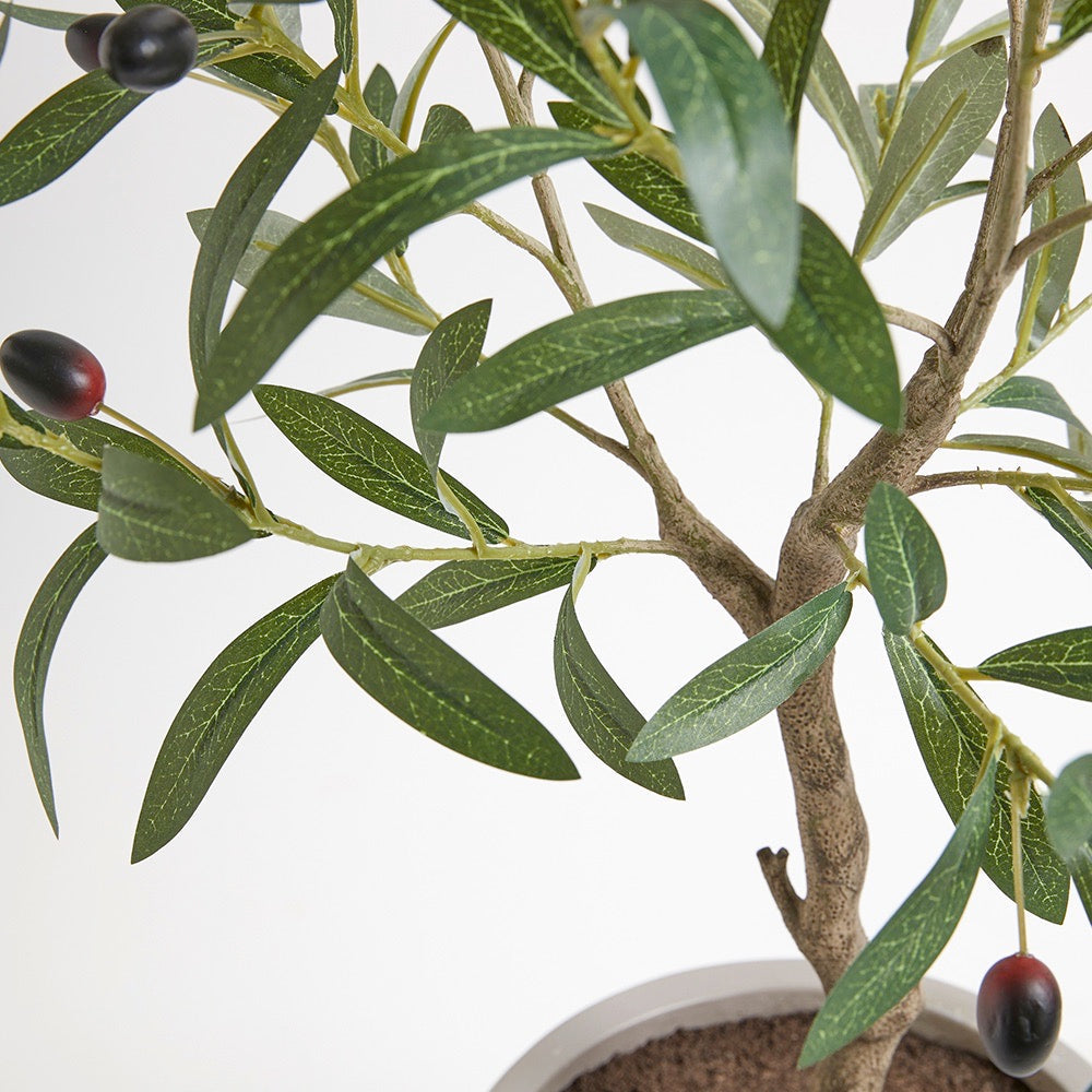Faux Olive Topiary Tree with Mediterranean Pot