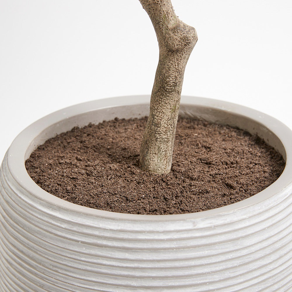 Faux Olive Topiary Tree with Mediterranean Pot