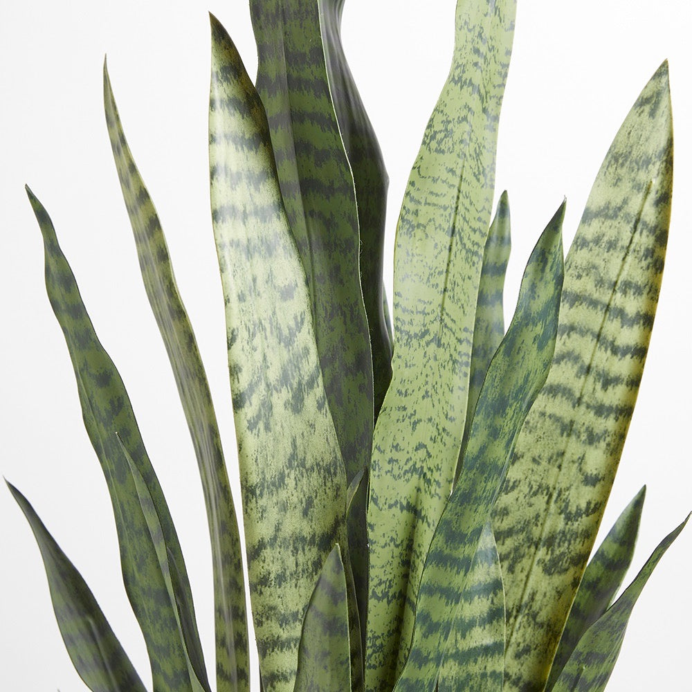 Faux Snake Plant with Artisan Planter