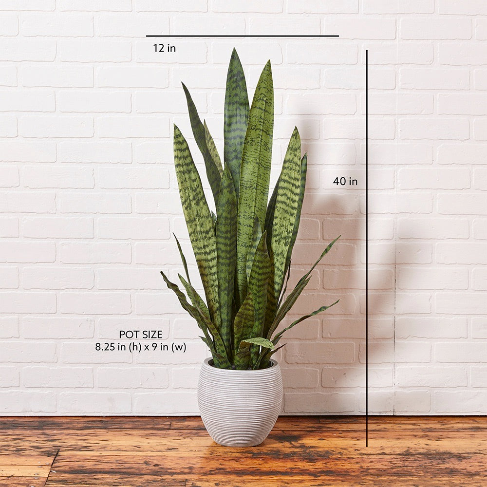 Faux Snake Plant with Artisan Planter