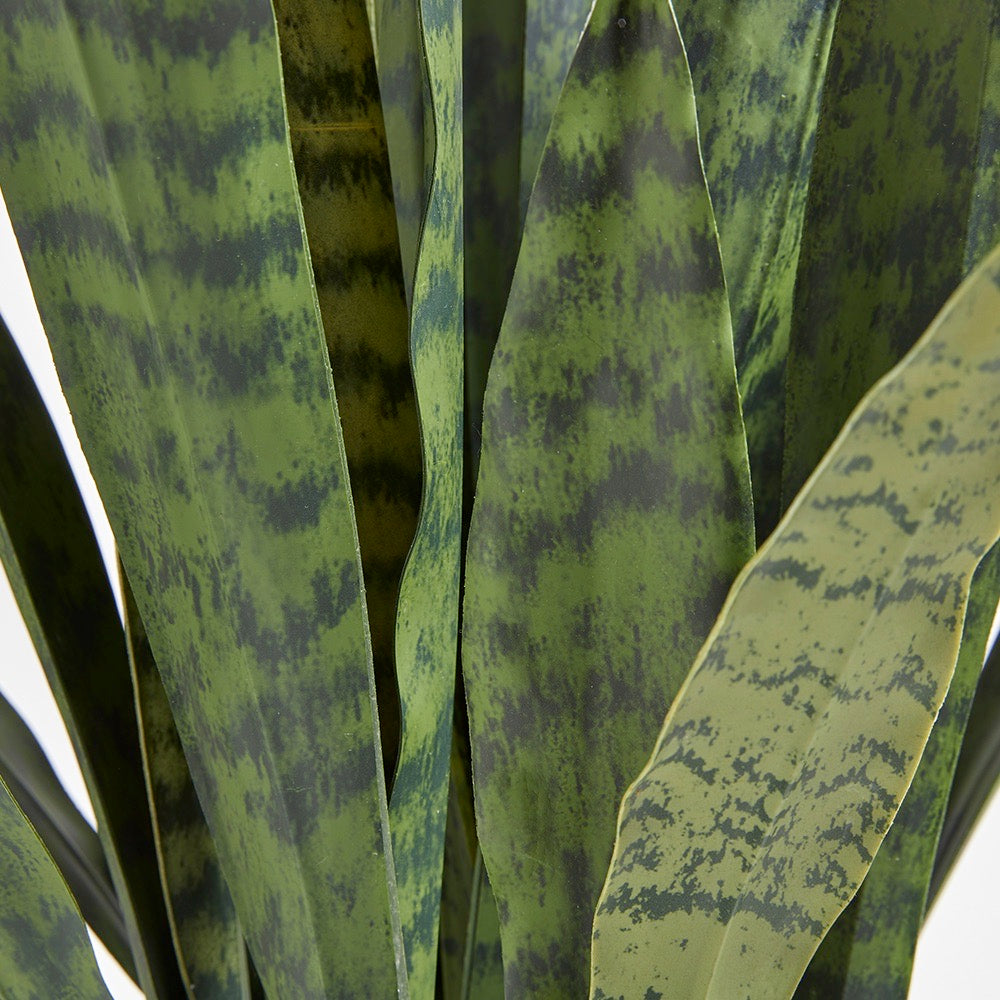 Faux Snake Plant with Artisan Planter