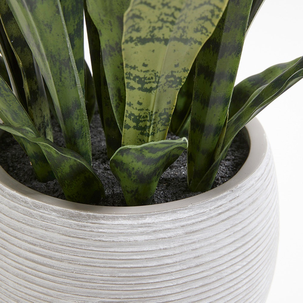 Faux Snake Plant with Artisan Planter