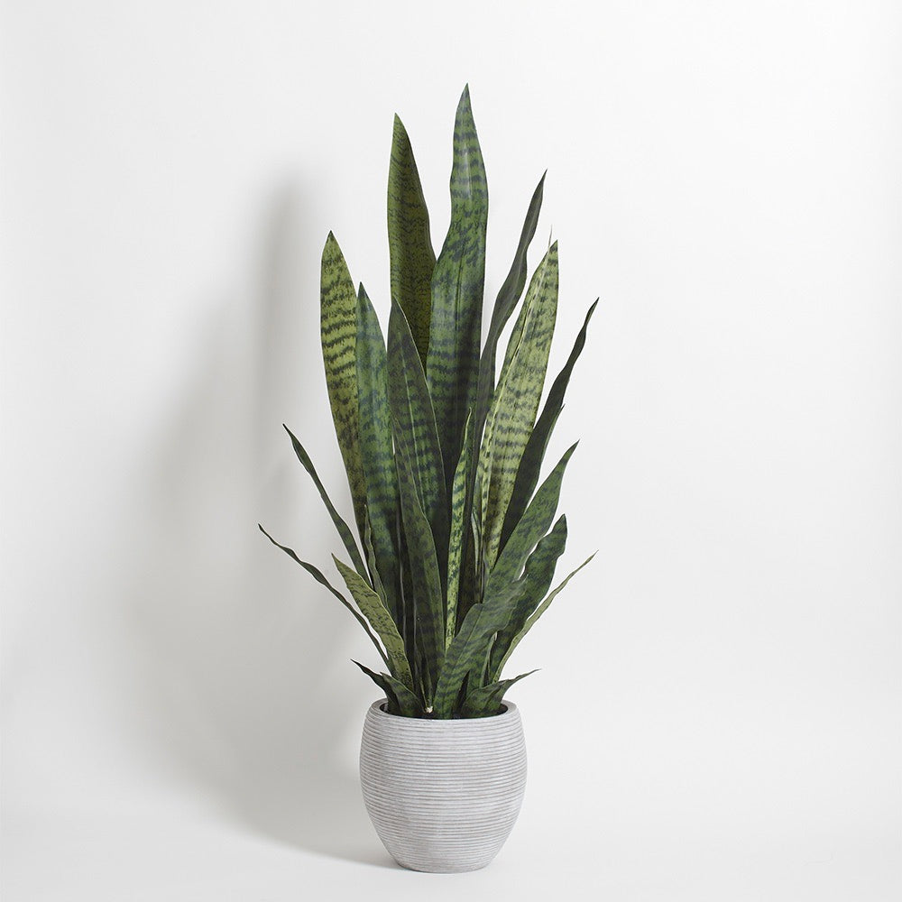 Faux Snake Plant with Artisan Planter