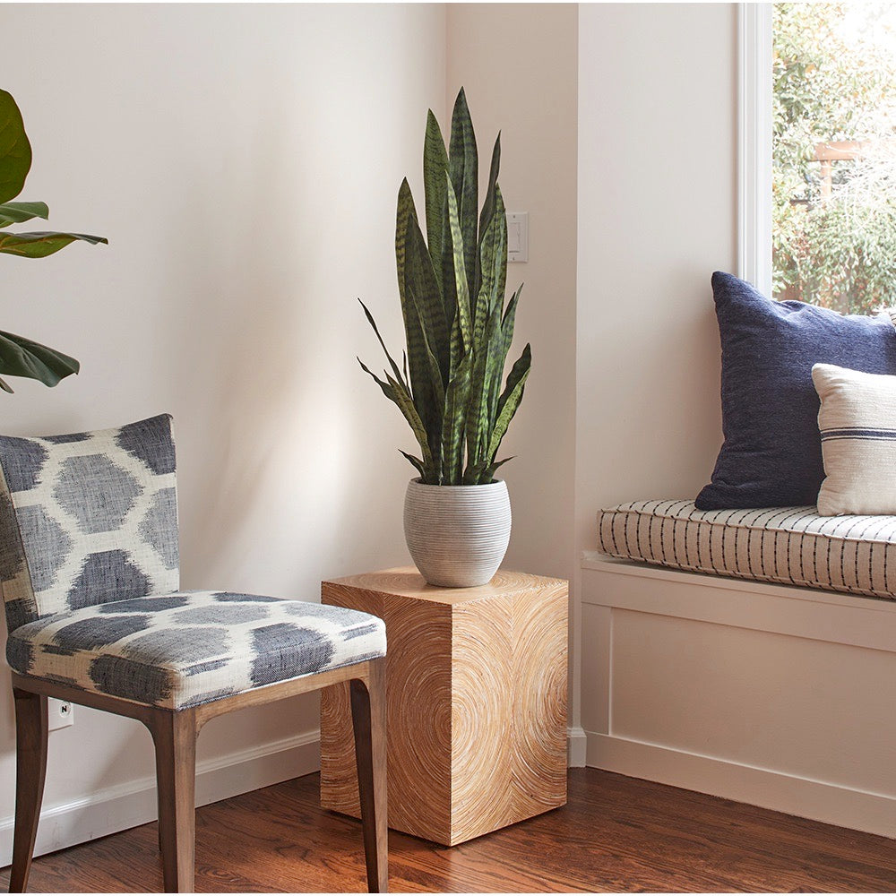 Faux Snake Plant with Artisan Planter
