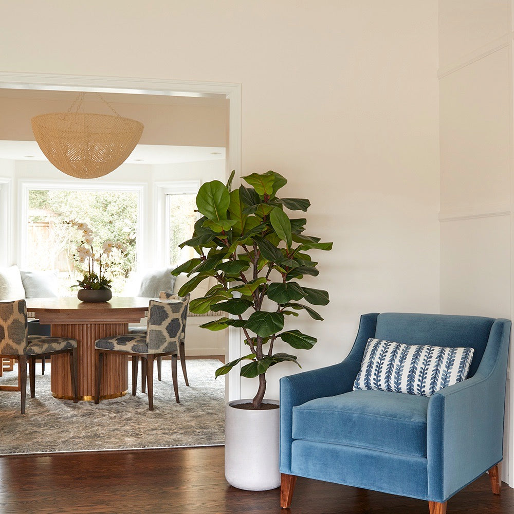 Faux Fiddle Leaf Fig Tree with Artisan Planter