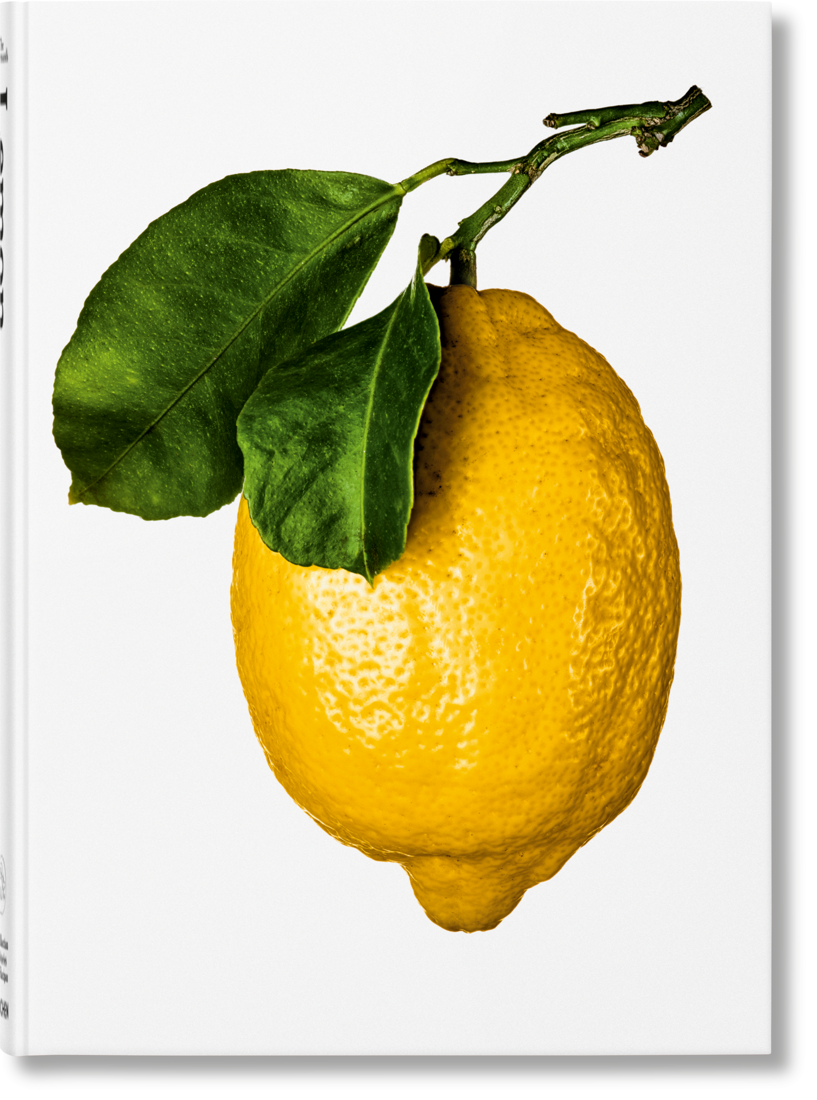 "The Gourmand's Lemon: A Collection of Stories and Recipes" Art Book