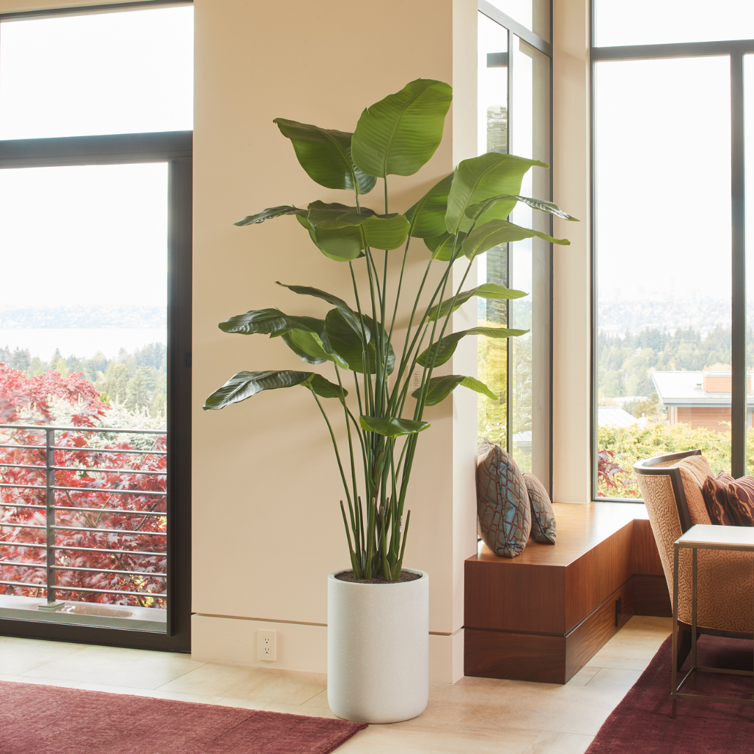 Bird of Paradise Faux Tree in Modern Gray Planter
