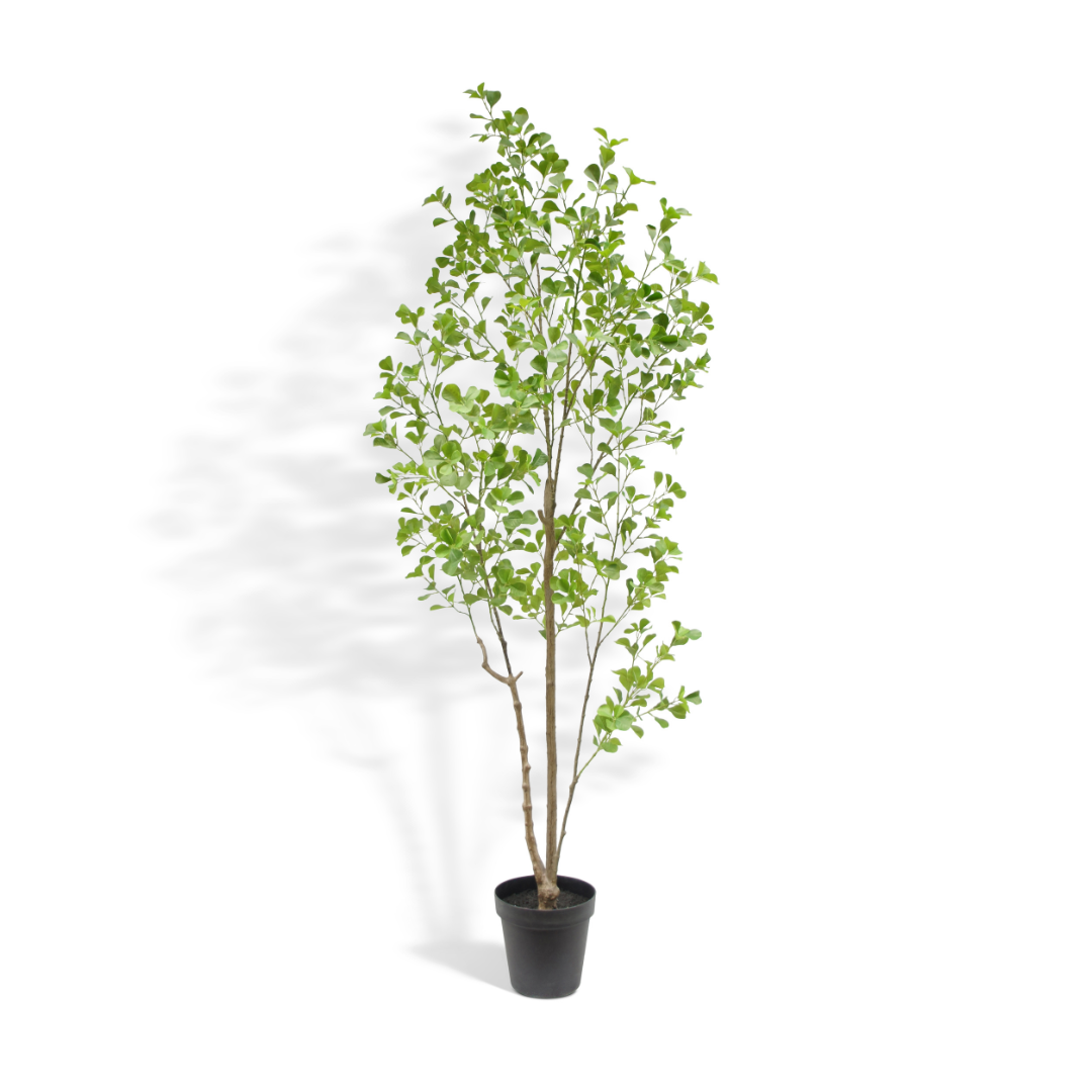 Artificial Heart Ficus Tree