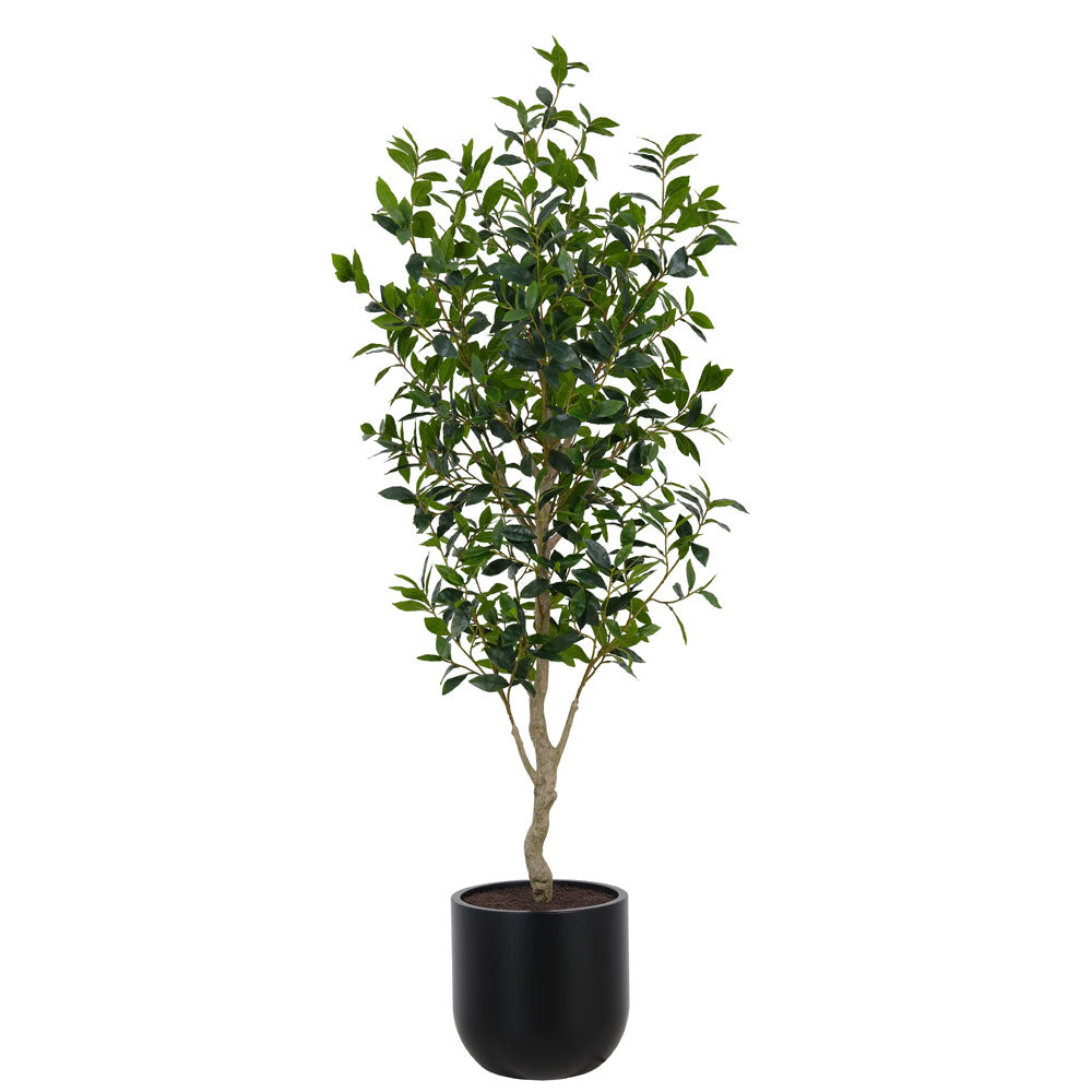 Faux Potted Laurel Tree