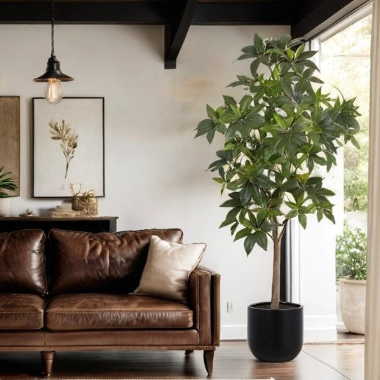 Faux Potted Money Tree in Black Pot