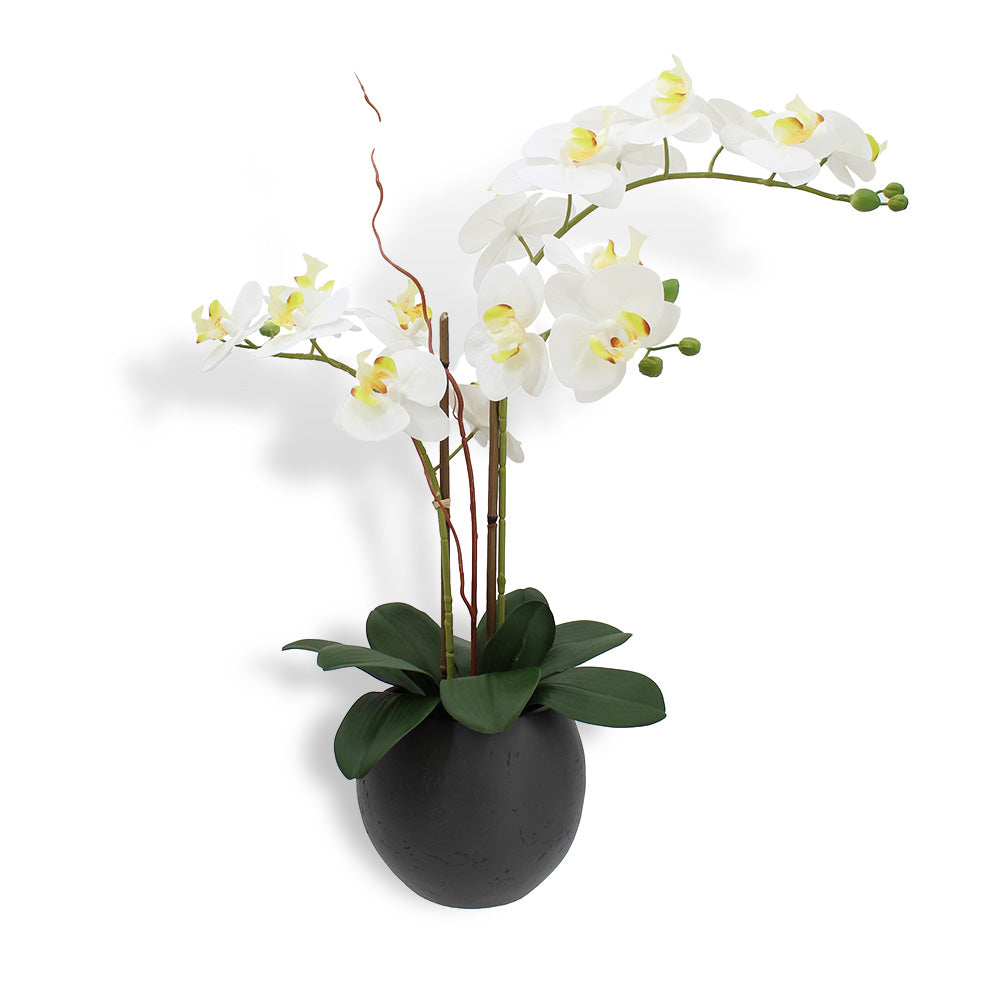 Artificial White Double Stem Orchid in Modern Pot