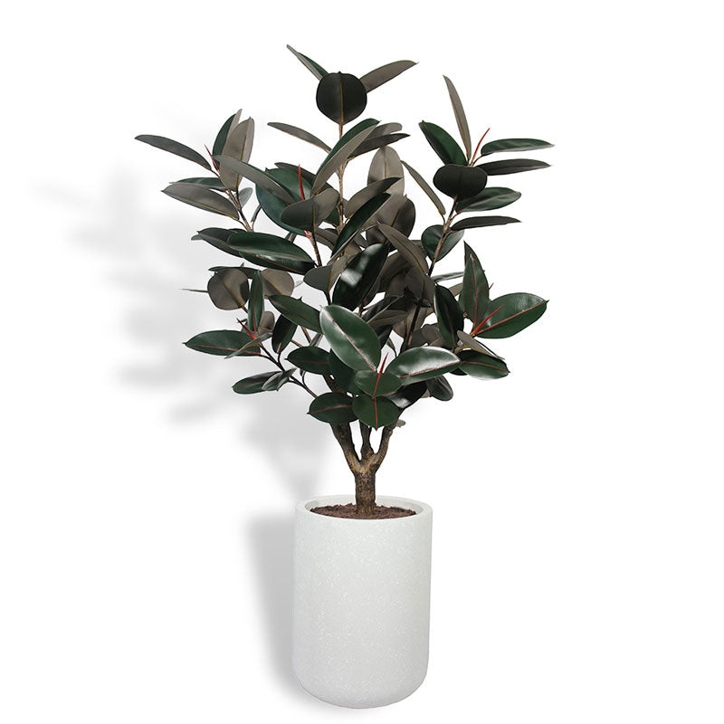 Faux Rubber Ficus Tree in Modern Gray Planter