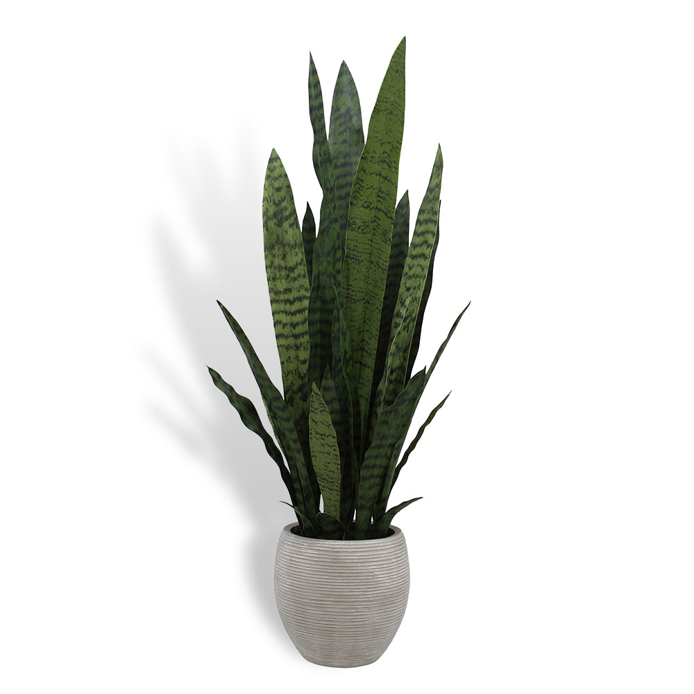 Faux Snake Plant with Artisan Planter
