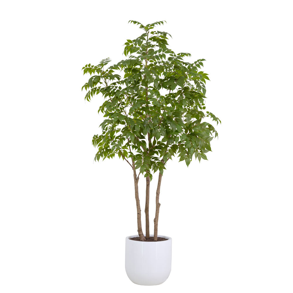 Faux Potted Sumac Tree