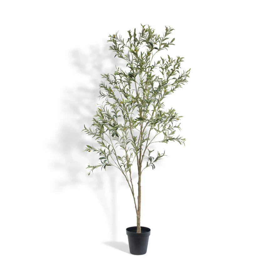 Faux Wispy Olive Tree