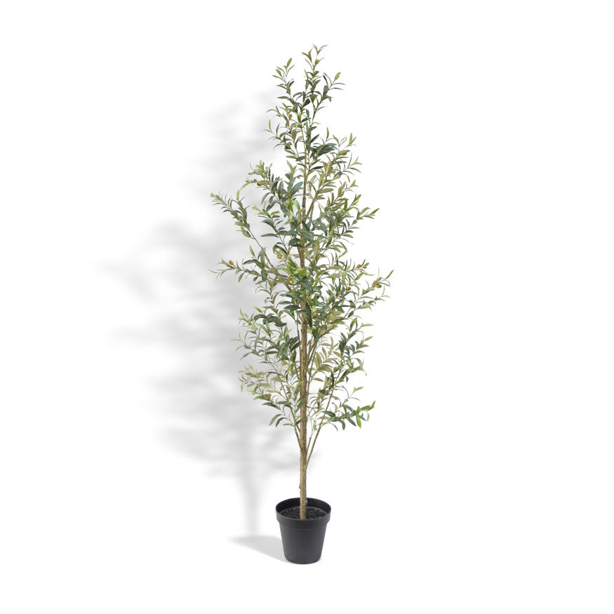 Slim Faux Olive Tree