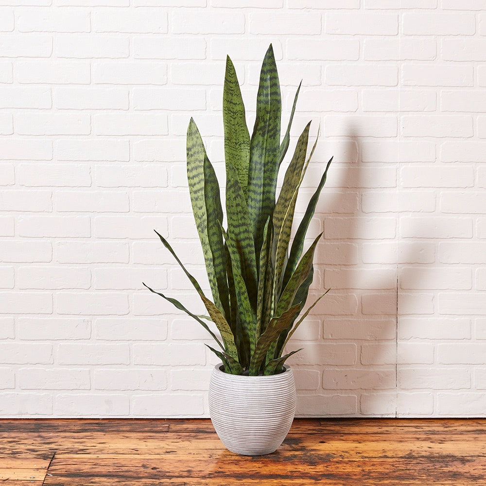 Faux Snake Plant with Artisan Planter