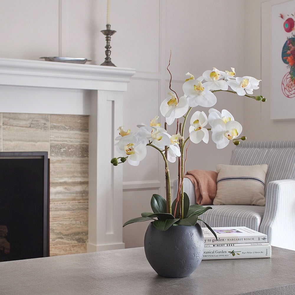 Artificial White Double Stem Orchid in Modern Pot
